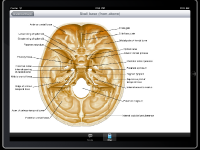 NM15_iPad05